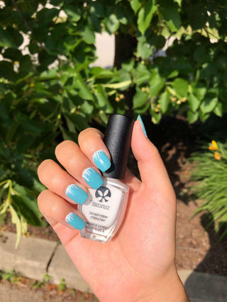 Swan Lake - Suncoat Products Inc